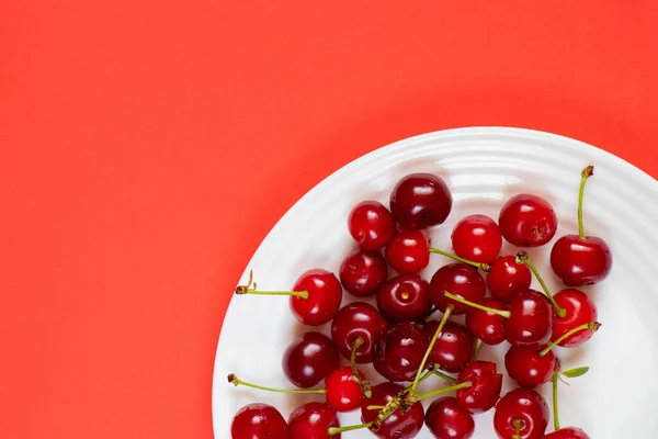 Cereza Plato Blanco Sobre Fondo Rojo —  Fotos de Stock