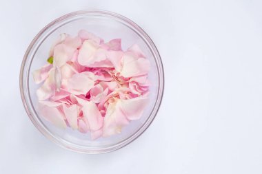 tea rose petals in a glass plate on an isolated background