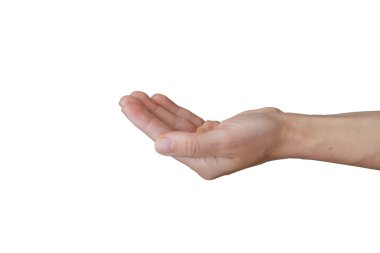 young female hand on a white background