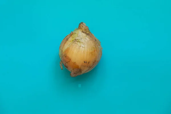Eine Schmutzige Zwiebel Auf Blauem Hintergrund — Stockfoto