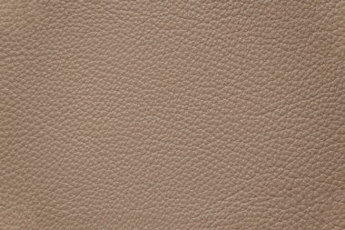 Arka plan olarak hayvanın sade hafif derisi.