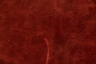 Yakın plan olarak koyu kırmızı hakiki deri.
