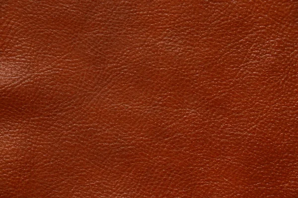 Dark Red Genuine Leather Close Background — Stock Photo, Image