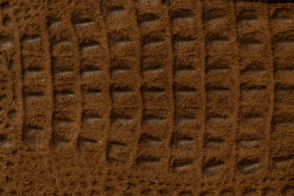 Krokodil Hud Mörkbrun Närbild Som Bakgrund — Stockfoto