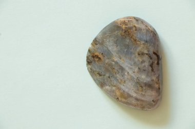 Ayrı bir ışık arkaplanındaki taş labrador