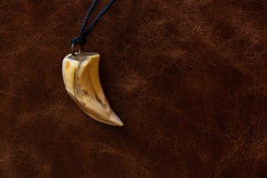 Dantelli bir tılsım gibi hayvan dişi derinin üstünde yatıyor.