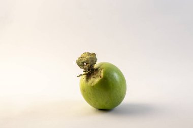 Beyaz arka planda çürük yeşil elma. Yakın plan.