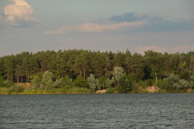 Dneprodzhezzzhinsk şehrinde, Ukrayna 'da bir gölün arka planındaki çam ormanı taşkın taşocağından geliyor.