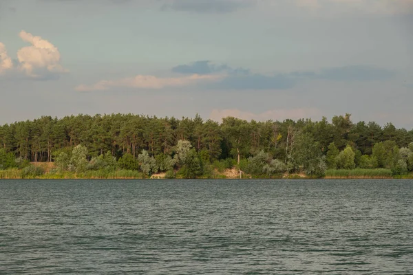 Bosque Pinos Sobre Fondo Lago Ucrania Ciudad Dneprodzhezzzhinsk Una Cantera — Foto de Stock