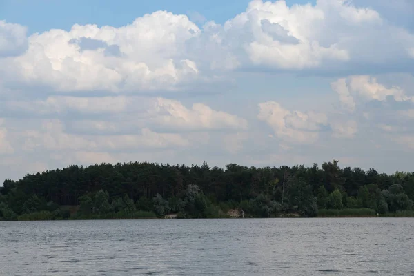 우크라이나의 네프로츠헤 진스크시에 호수의 배경에 소나무 — 스톡 사진