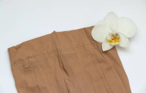 Nylon Tights För Kvinnor Och Orkidé Blomma Färgad Bakgrund — Stockfoto