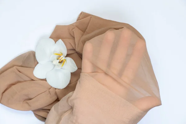 Hand Nylon Tights Kvinnlig Och Orkidé Blomma Färgad Bakgrund — Stockfoto