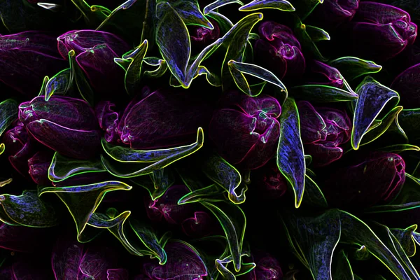 Bouquet Purple Tulips Lies Table — Stock Photo, Image