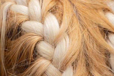 braided spikelet on the head of a young blonde girl closeup clipart