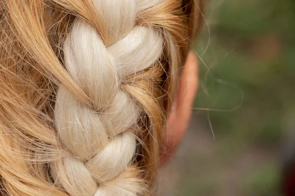 Espiguilla Trenzada Cabeza Una Joven Rubia Primer Plano — Foto de Stock