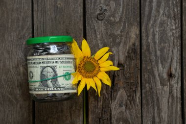 Bir kavanoz para Ukrayna kuruşu tahtadan bir masa ve ayçiçeği üzerindeki bir dolarlık banknota dönüştü.