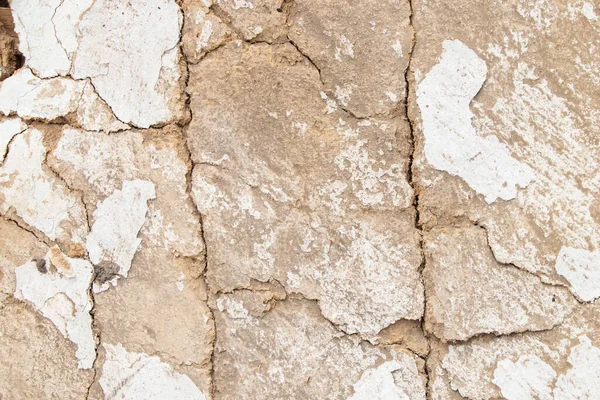 Arka plan olarak harap olmuş eski ahır duvarı.