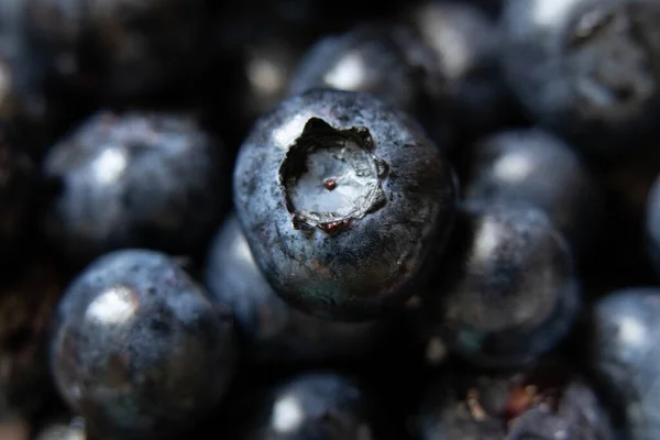 Ripe Blueberries Macro Photo Background Macro Photo Berries — Stock Photo, Image