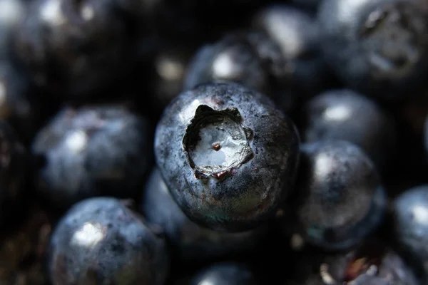 Ripe Blueberries Macro Photo Background Macro Photo Berries — Stock Photo, Image