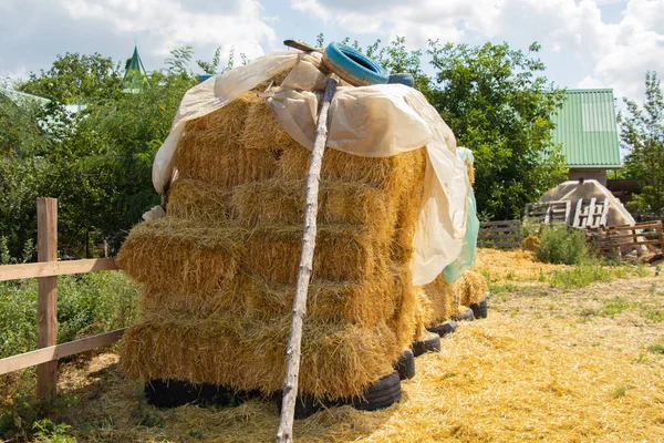 Сіно Брикетах Купі Фари Корм Коней Україні Вдень — стокове фото