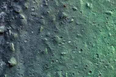 Arka plan yakın plan olarak beton duvarda gri-yeşil boya