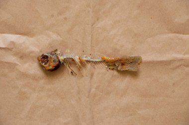 Kahverengi arka planda kızarmış balık iskeleti. Yakın plan.