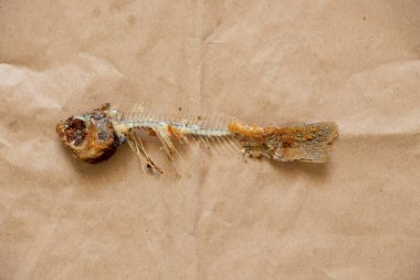 Kahverengi arka planda kızarmış balık iskeleti. Yakın plan.