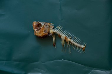 Koyu yeşil kağıtta kızarmış balık iskeleti. Yaklaş.