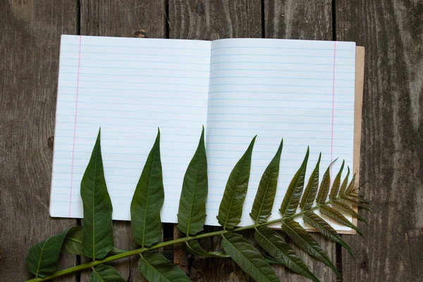 a blank open notebook in a ruler lies on a wooden table, space for text