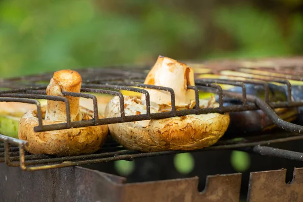 Mushrooms Grill Picnic Summer Fried Wire Rack Close — Stock Photo, Image