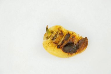 Izgarada kızartılmış beyaz biber piknikte beyaz bir arka planda yakın plan, ızgarada sebzeler