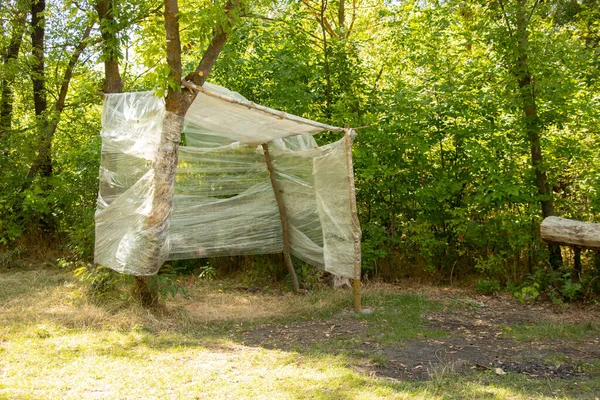 Maison Cinéma Maison Avec Une Verrière Dans Forêt Par Une — Photo