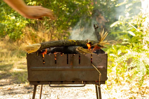 portable grill with firewood in the summer at a picnic in the forest in Ukraine
