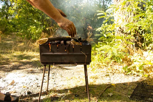 portable grill with firewood in the summer at a picnic in the forest in Ukraine