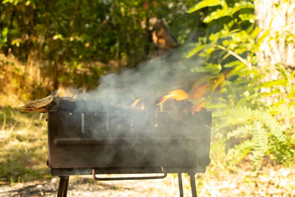 Przenośny Grill Drewna Opałowego Lecie Pikniku Lesie Ukrainie — Zdjęcie stockowe