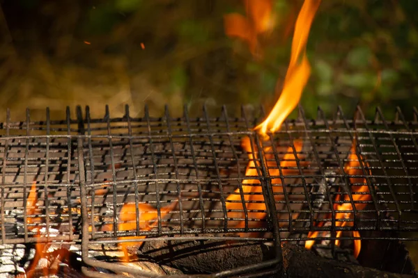 portable grill with firewood in the summer at a picnic in the forest in Ukraine