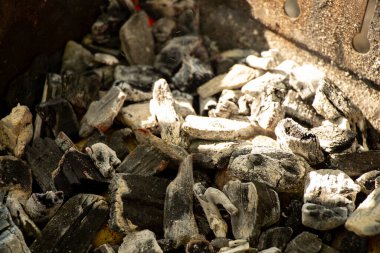 Mangalda kömür var, doğada ormanda piknik yapıyorlar.