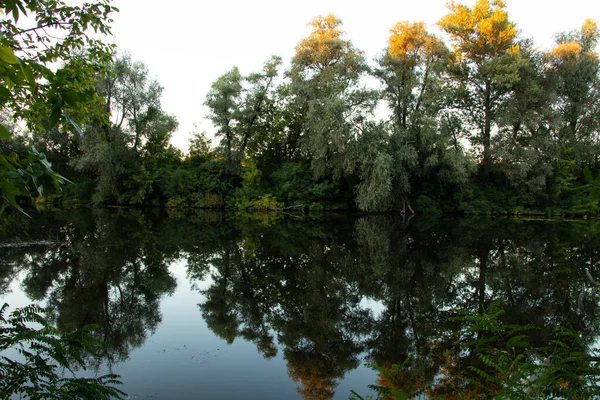 Zielony Las Wzdłuż Rzeki Orel Latem Ukrainie Mieście Dnipro Rano — Zdjęcie stockowe