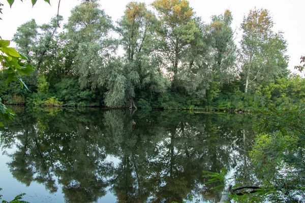 Yazın orel nehri boyunca yeşil orman Ukrayna 'da Dnipro şehrinde sabah