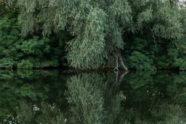 Yazın orel nehri boyunca yeşil orman Ukrayna 'da Dnipro şehrinde sabah