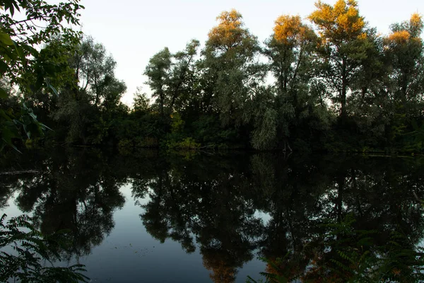朝のドニプロ市のウクライナの夏のオレル川沿いの緑の森 — ストック写真