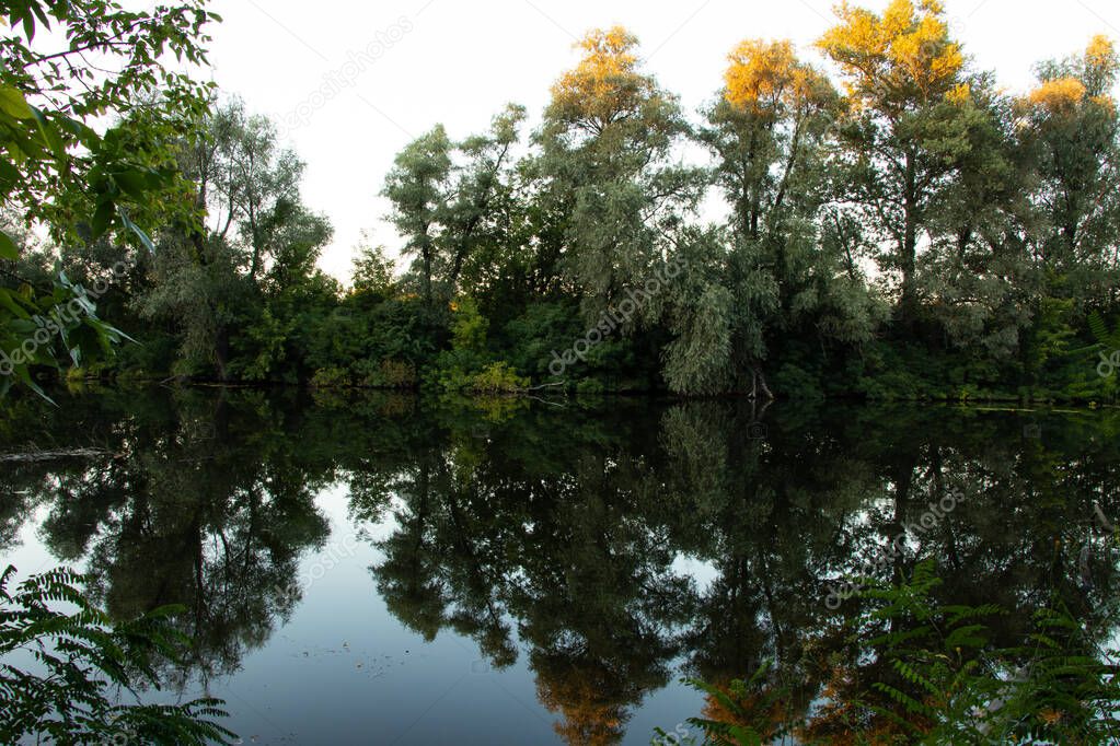 green forest along the orel river in summer in ukraine in the dnipro city in the morning
