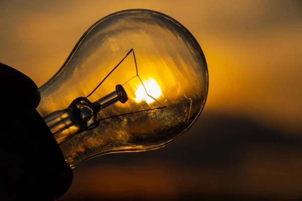 incandescent light bulb in hand on sunset background close up