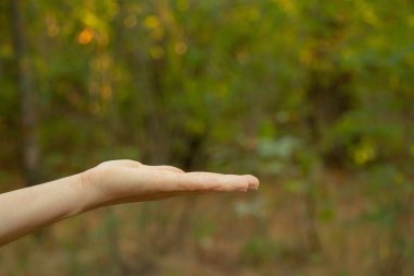 Yaz parkında kadın elleri yakın planda.