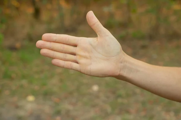 Female Hands Close Outdoors Summer Park Close — Stock Photo, Image