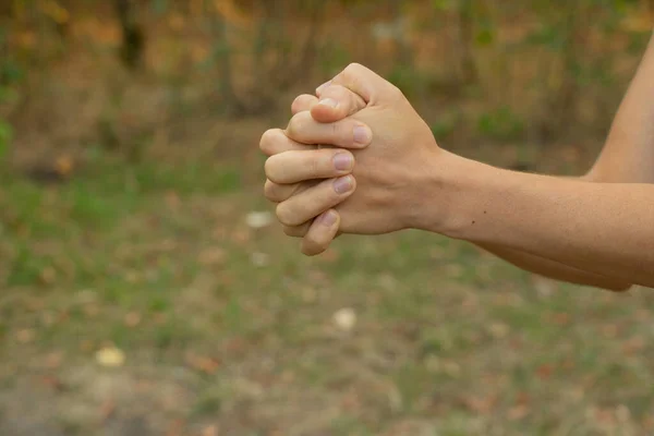 Manos Femeninas Primer Plano Aire Libre Parque Verano Primer Plano — Foto de Stock