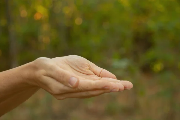 Female Hands Close Outdoors Summer Park Close — Stock Photo, Image