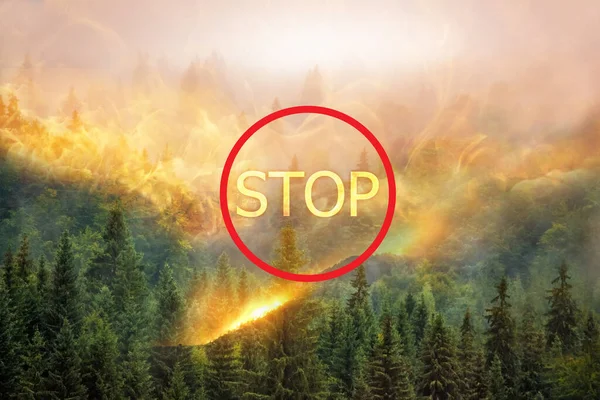 Foresta Fiamme Fumo Sullo Sfondo Cartello Rosso Parola Stop Fire — Foto Stock