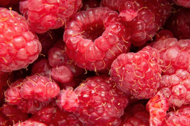 arkaplan makro fotoğraf olarak ahududu yakın plan