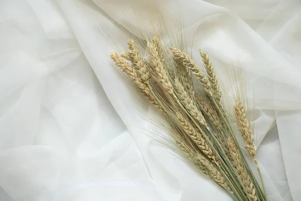 Колоски Пшениці Ізольованому Білому Фоні Крупним Планом — стокове фото
